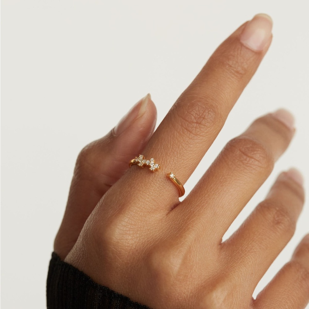 Pdpaola “prince ring”